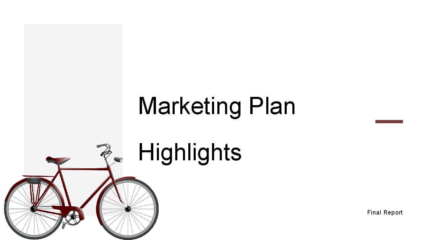 Marketing Plan Highlights Final Report 