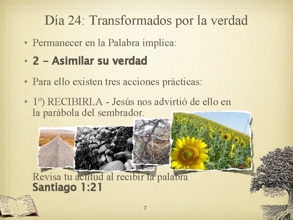 Día 24: Transformados por la verdad • Permanecer en la Palabra implica: • 2