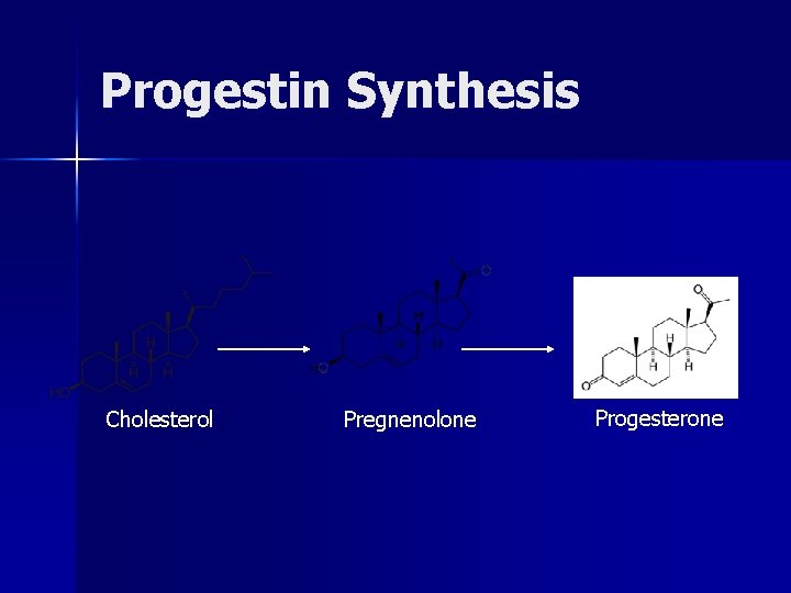 Progestin Synthesis Cholesterol Pregnenolone Progesterone 