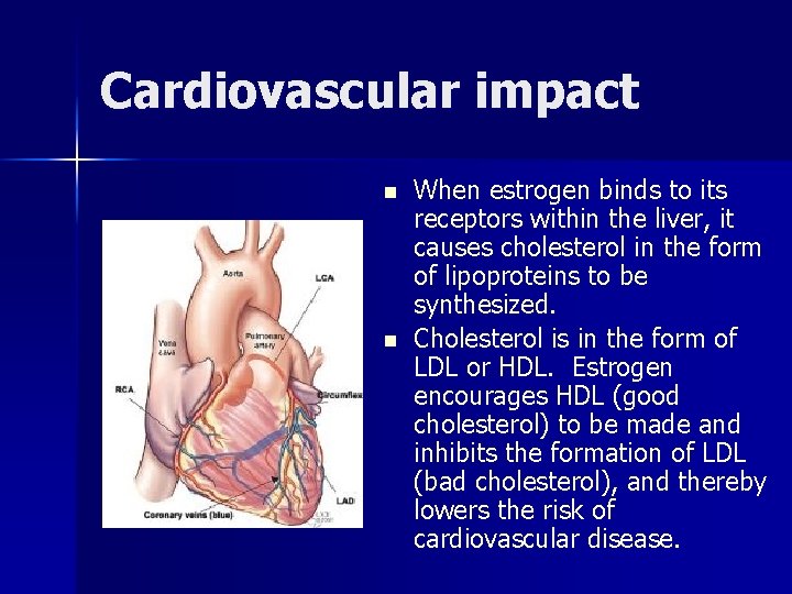 Cardiovascular impact n n When estrogen binds to its receptors within the liver, it