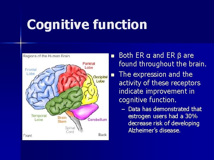 Cognitive function n n Both ER α and ER β are found throughout the