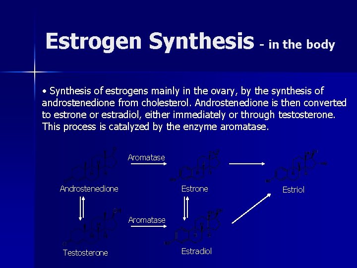 Estrogen Synthesis - in the body • Synthesis of estrogens mainly in the ovary,
