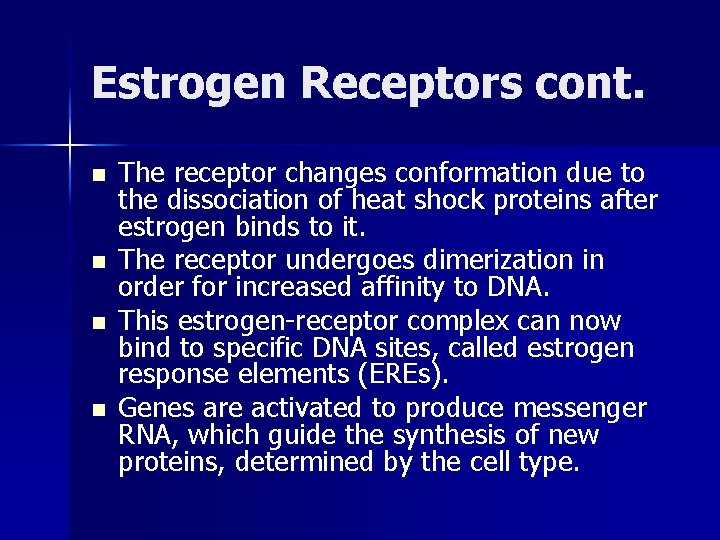 Estrogen Receptors cont. n n The receptor changes conformation due to the dissociation of