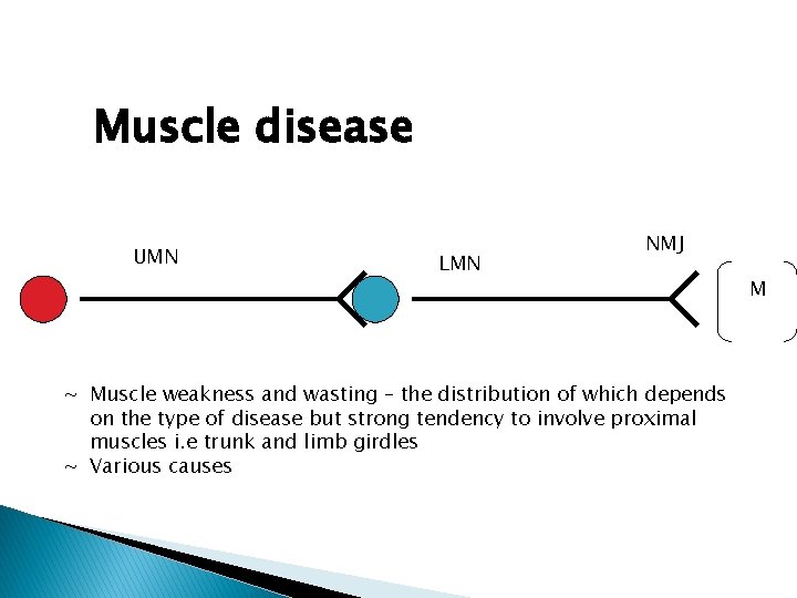 Muscle disease UMN LMN NMJ ~ Muscle weakness and wasting – the distribution of Muscle disease UMN LMN NMJ ~ Muscle weakness and wasting – the distribution of
