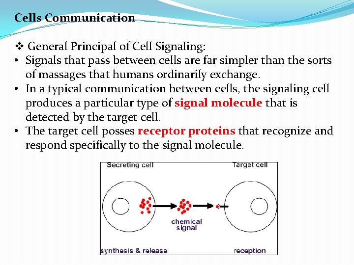 Cells Communication v General Principal of Cell Signaling: • Signals that pass between cells