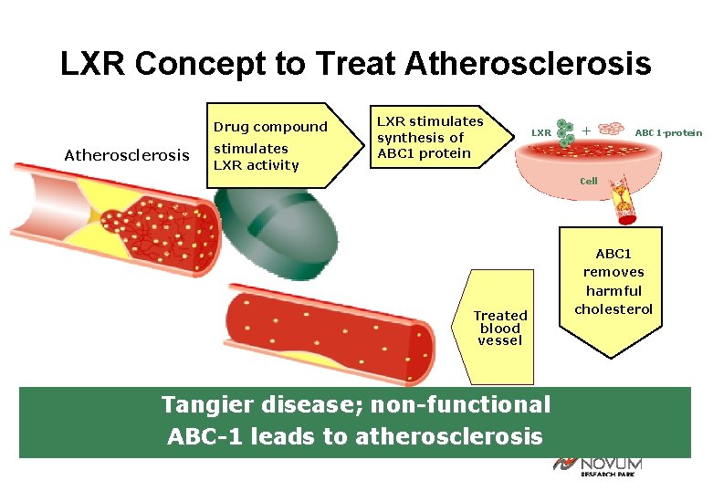 LXR Concept to Treat Atherosclerosis Drug compound Atherosclerosis stimulates LXR activity LXR stimulates synthesis