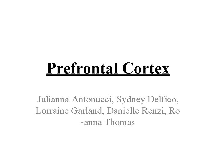 Prefrontal Cortex Julianna Antonucci, Sydney Delfico, Lorraine Garland, Danielle Renzi, Ro -anna Thomas 