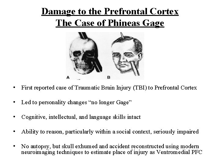 Damage to the Prefrontal Cortex The Case of Phineas Gage • First reported case