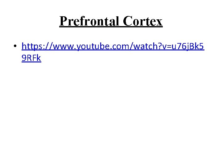 Prefrontal Cortex • https: //www. youtube. com/watch? v=u 76 j. Bk 5 9 RFk