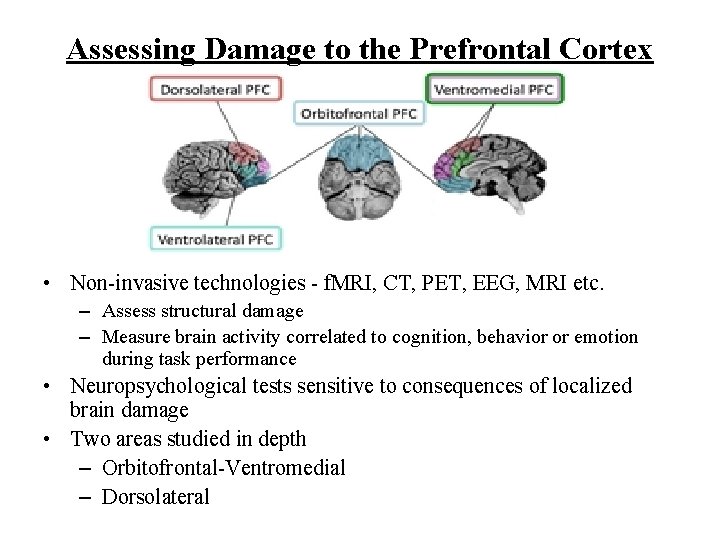 Assessing Damage to the Prefrontal Cortex • Non-invasive technologies - f. MRI, CT, PET,