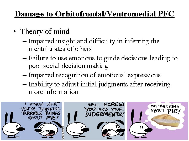 Damage to Orbitofrontal/Ventromedial PFC • Theory of mind – Impaired insight and difficulty in