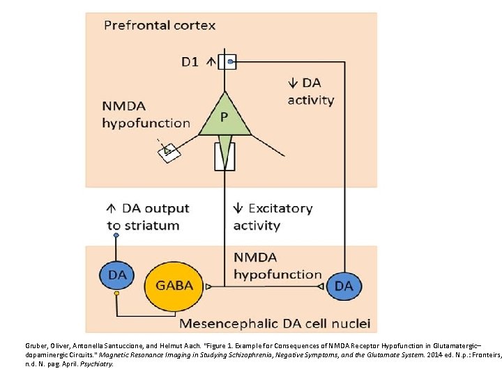 Gruber, Oliver, Antonella Santuccione, and Helmut Aach. "Figure 1. Example for Consequences of NMDA