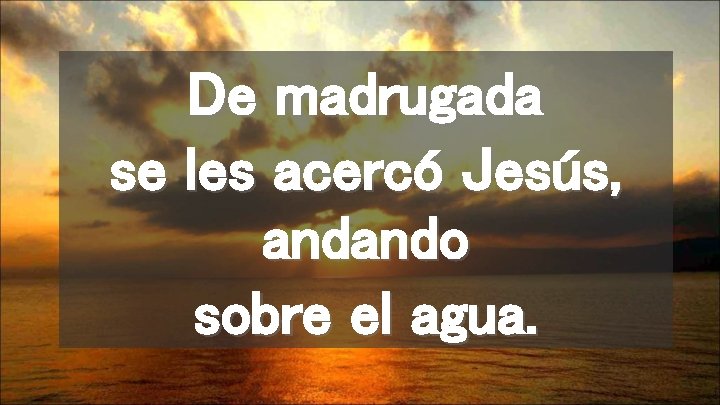 De madrugada se les acercó Jesús, andando sobre el agua. 