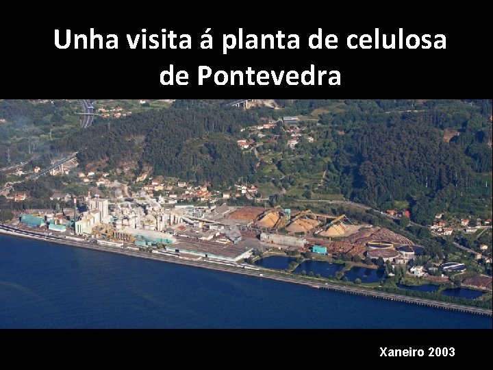 Unha visita á planta de celulosa de Pontevedra Xaneiro 2003 