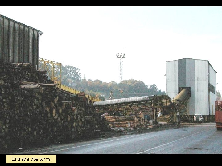 Entrada dos toros 