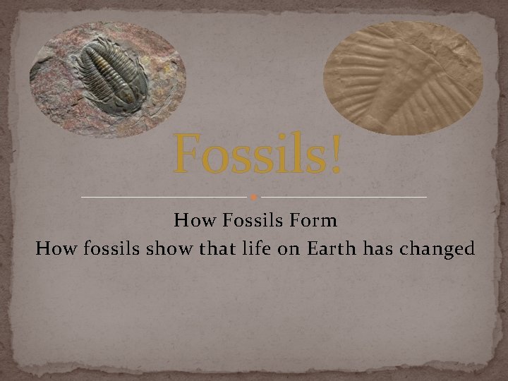 Fossils! How Fossils Form How fossils show that life on Earth has changed 