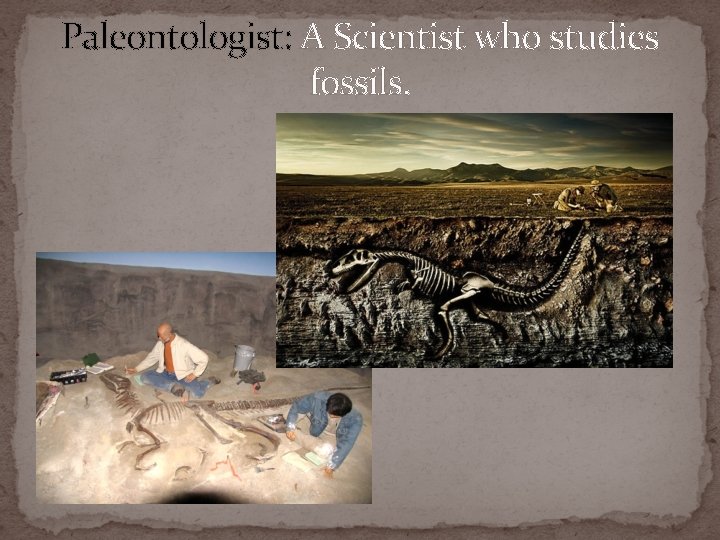 Paleontologist: A Scientist who studies fossils. 