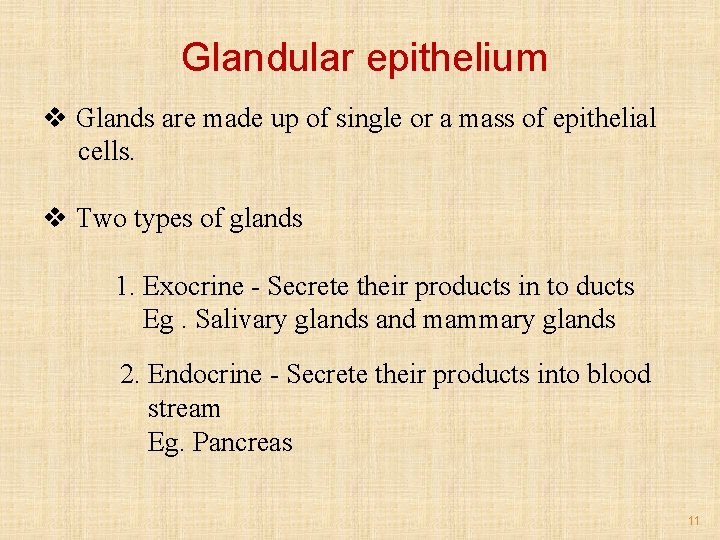 Glandular epithelium v Glands are made up of single or a mass of epithelial