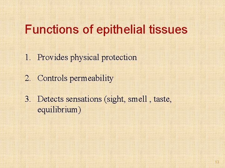 Functions of epithelial tissues 1. Provides physical protection 2. Controls permeability 3. Detects sensations
