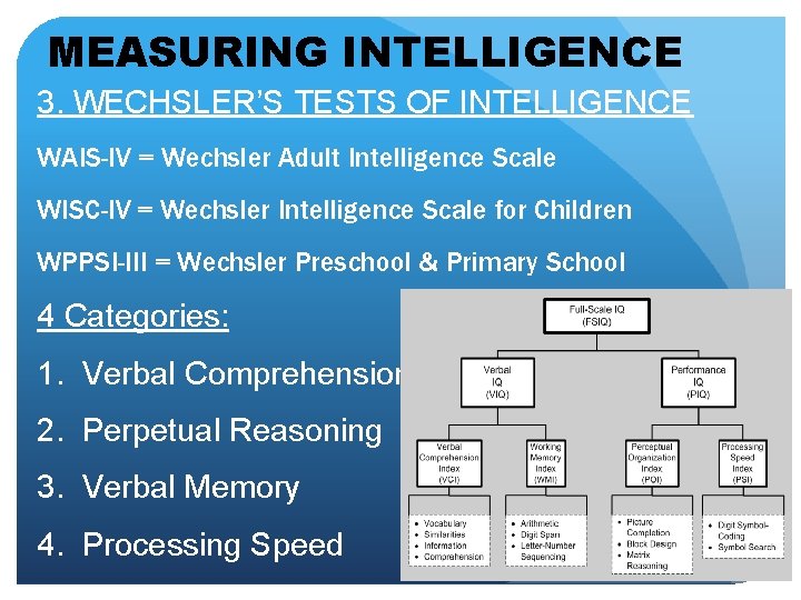 MEASURING INTELLIGENCE 3. WECHSLER’S TESTS OF INTELLIGENCE WAIS-IV = Wechsler Adult Intelligence Scale WISC-IV