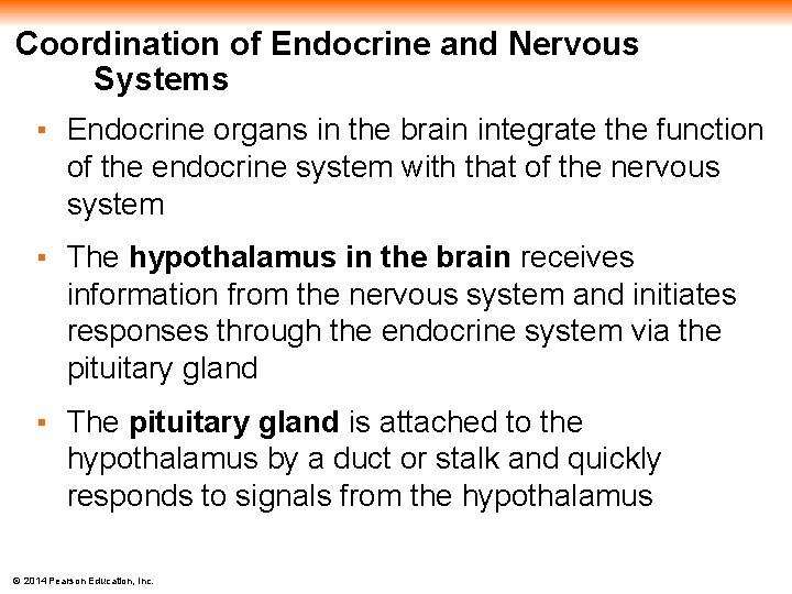 Coordination of Endocrine and Nervous Systems ▪ Endocrine organs in the brain integrate the