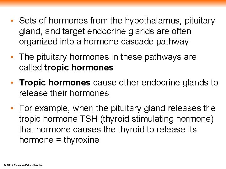 ▪ Sets of hormones from the hypothalamus, pituitary gland, and target endocrine glands are
