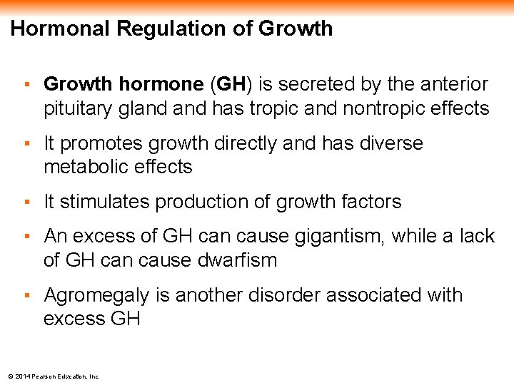 Hormonal Regulation of Growth ▪ Growth hormone (GH) is secreted by the anterior pituitary