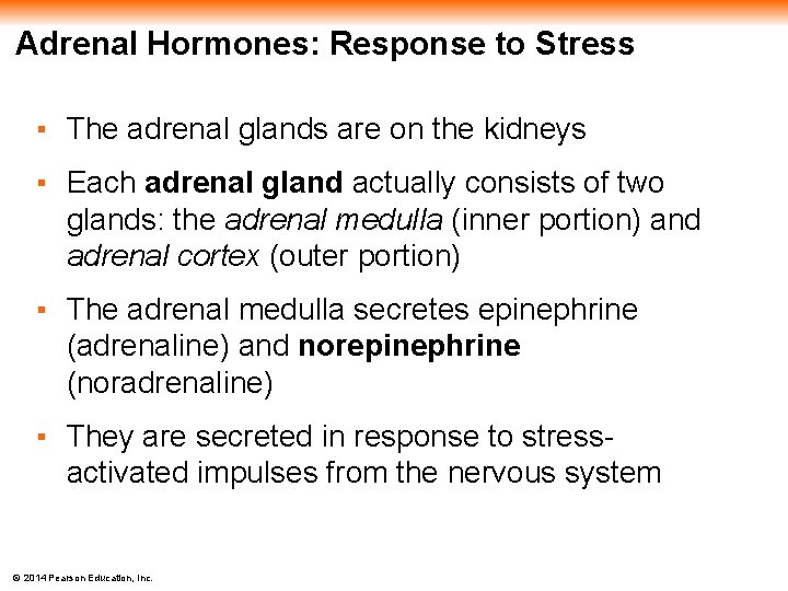 Adrenal Hormones: Response to Stress ▪ The adrenal glands are on the kidneys ▪