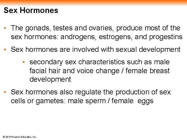 Sex Hormones ▪ The gonads, testes and ovaries, produce most of the sex hormones: