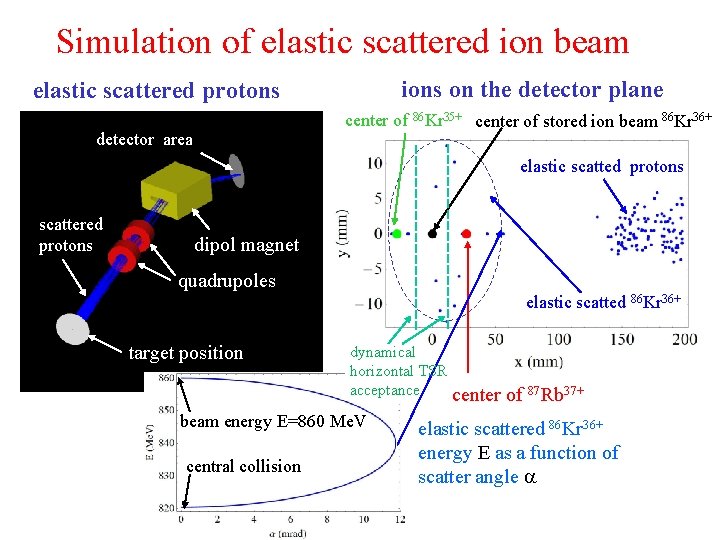 Simulation of elastic scattered ion beam ions on the detector plane elastic scattered protons