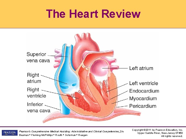 The Heart Review Pearson's Comprehensive Medical Assisting: Administrative and Clinical Competencies, 2/e Beaman •