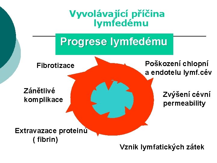 Vyvolávající příčina lymfedému Progrese lymfedému Lymfostáza Fibrotizace Zánětlivé komplikace Extravazace proteinů ( fibrin) Poškození