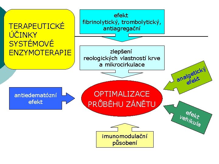 TERAPEUTICKÉ ÚČINKY SYSTÉMOVÉ ENZYMOTERAPIE antiedematózní efekt fibrinolytický, trombolytický, antiagregační zlepšení reologických vlastností krve a