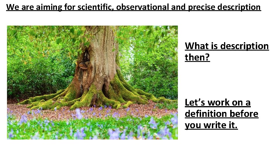 We are aiming for scientific, observational and precise description What is description then? Let’s