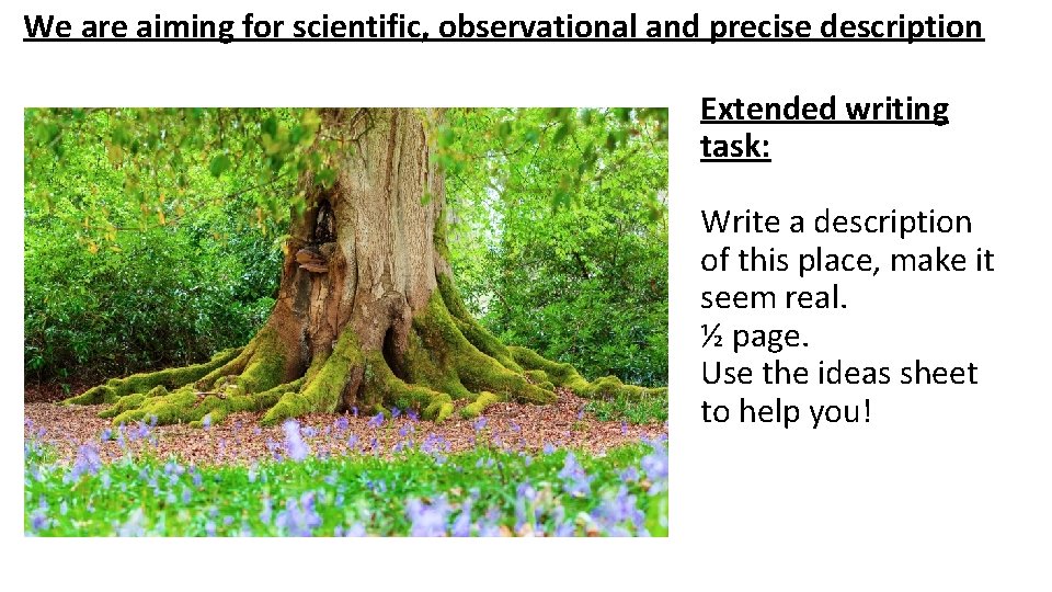 We are aiming for scientific, observational and precise description Extended writing task: Write a