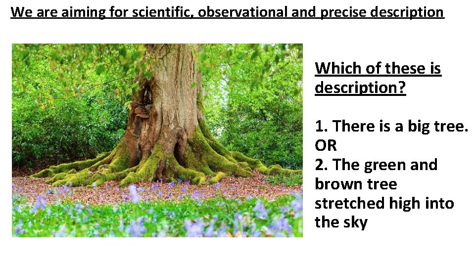 We are aiming for scientific, observational and precise description Which of these is description?