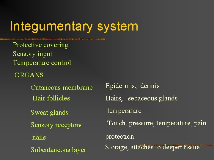 Integumentary system Protective covering Sensory input Temperature control ORGANS Cutaneous membrane Hair follicles Epidermis,