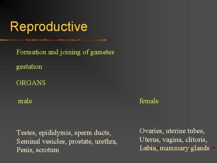 Reproductive Formation and joining of gametes gestation ORGANS male female Testes, epididymis, sperm ducts,