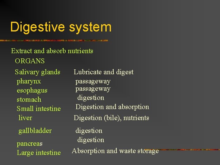 Digestive system Extract and absorb nutrients ORGANS Salivary glands Lubricate and digest pharynx passageway