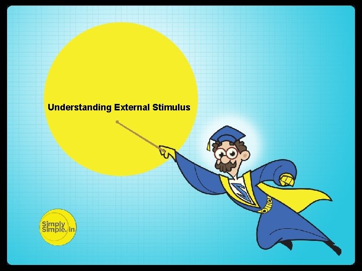 Understanding External Stimulus 