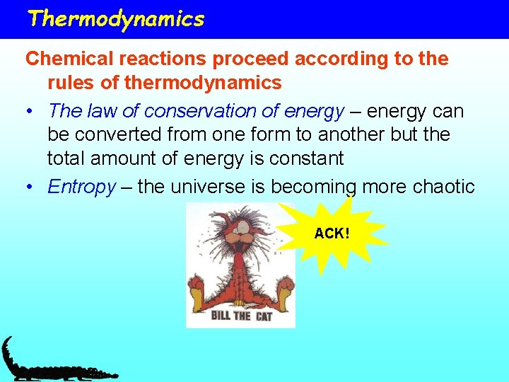 Thermodynamics Chemical reactions proceed according to the rules of thermodynamics • The law of