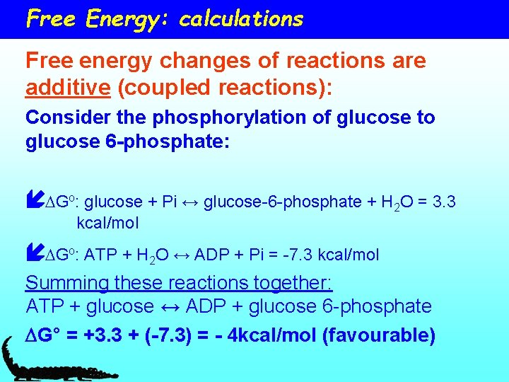 Free Energy: calculations Free energy changes of reactions are additive (coupled reactions): Consider the