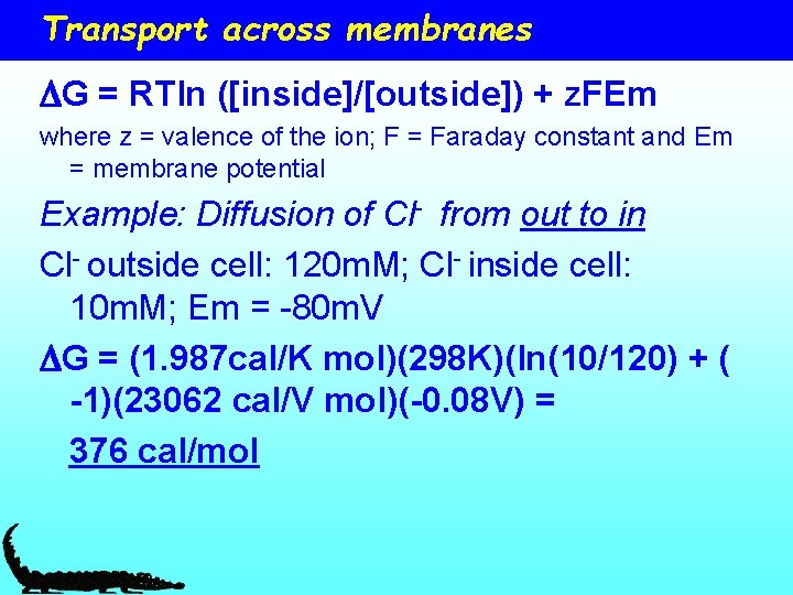 Transport across membranes DG = RTln ([inside]/[outside]) + z. FEm where z = valence