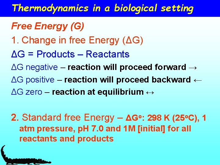 Thermodynamics in a biological setting Free Energy (G) 1. Change in free Energy (ΔG)