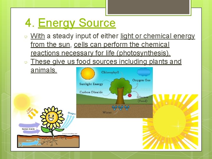 4. Energy Source ○ ○ With a steady input of either light or chemical