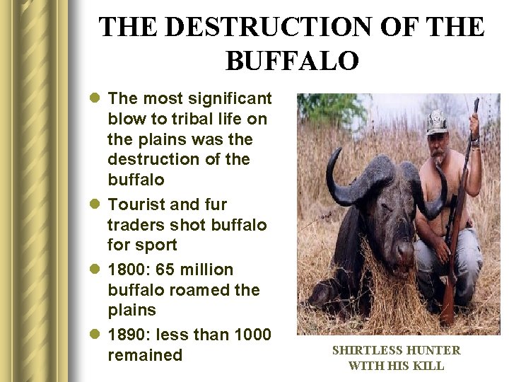 THE DESTRUCTION OF THE BUFFALO l The most significant blow to tribal life on