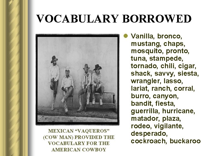 VOCABULARY BORROWED MEXICAN “VAQUEROS” (COW MAN) PROVIDED THE VOCABULARY FOR THE AMERICAN COWBOY l