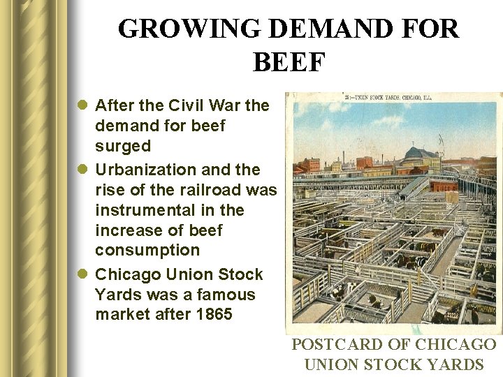 GROWING DEMAND FOR BEEF l After the Civil War the demand for beef surged