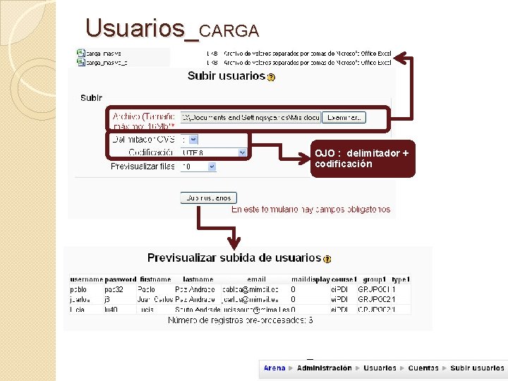 Usuarios_CARGA OJO : delimitador + codificación 