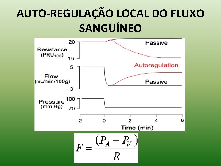 AUTO-REGULAÇÃO LOCAL DO FLUXO SANGUÍNEO 